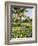 The Garden and Golf Course at the Leela Hotel, Mobor, Goa, India-R H Productions-Framed Photographic Print