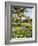 The Garden and Golf Course at the Leela Hotel, Mobor, Goa, India-R H Productions-Framed Photographic Print