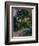 The Garden Around Manet's House in Reuil, France-Edouard Manet-Framed Giclee Print