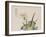 The Garden as Big as a Grain of Mustard, 17th-18th Century-null-Framed Giclee Print