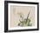 The Garden as Big as a Grain of Mustard, 17th-18th Century-null-Framed Giclee Print