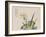 The Garden as Big as a Grain of Mustard, 17th-18th Century-null-Framed Giclee Print