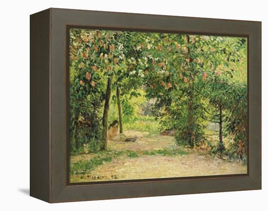 The Garden at Eragny in Spring, 1894-Camille Pissarro-Framed Premier Image Canvas