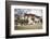 The Garden at the Entrance of the Punakha Dzong Where There are Trees of Different Species, Bhutan-Roberto Moiola-Framed Photographic Print