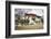 The Garden at the Entrance of the Punakha Dzong Where There are Trees of Different Species, Bhutan-Roberto Moiola-Framed Photographic Print