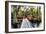 The Garden Bridge-Daniel Burt-Framed Photographic Print