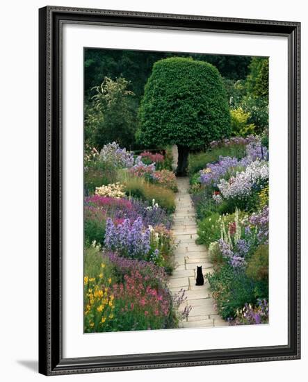 The Garden Cat-Greg Gawlowski-Framed Photographic Print