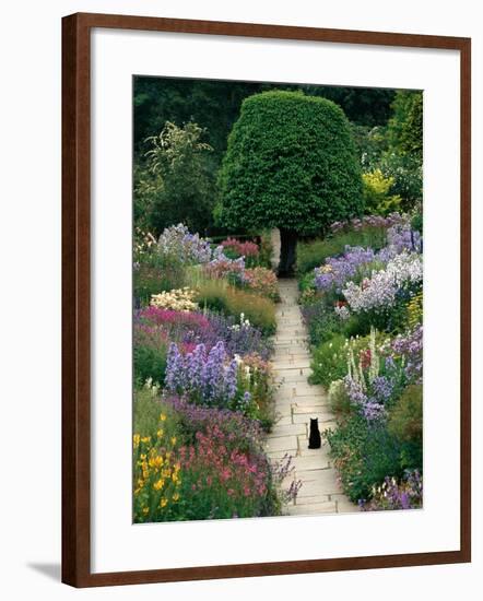 The Garden Cat-Greg Gawlowski-Framed Photographic Print