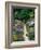 The Garden Cat-Greg Gawlowski-Framed Photographic Print