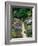 The Garden Cat-Greg Gawlowski-Framed Photographic Print