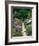 The Garden Cat-Greg Gawlowski-Framed Photographic Print