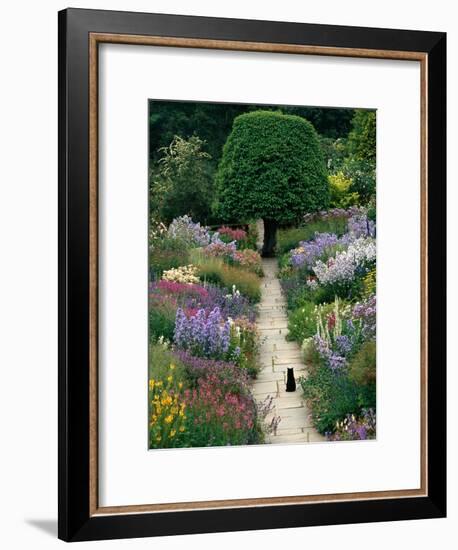 The Garden Cat-Greg Gawlowski-Framed Photographic Print