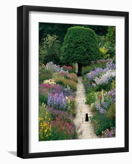 The Garden Cat-Greg Gawlowski-Framed Photographic Print