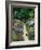 The Garden Cat-Greg Gawlowski-Framed Photographic Print