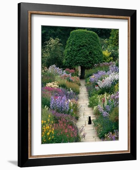 The Garden Cat-Greg Gawlowski-Framed Photographic Print