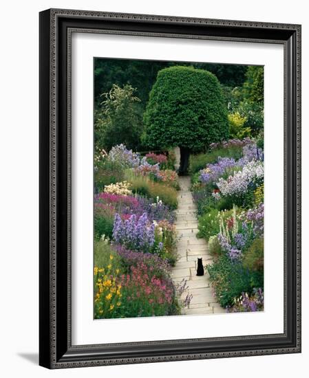 The Garden Cat-Greg Gawlowski-Framed Photographic Print