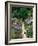 The Garden Cat-Greg Gawlowski-Framed Photographic Print