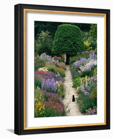 The Garden Cat-Greg Gawlowski-Framed Photographic Print