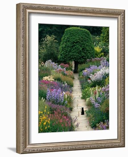 The Garden Cat-Greg Gawlowski-Framed Premium Photographic Print