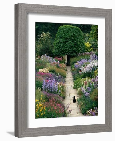 The Garden Cat-Greg Gawlowski-Framed Premium Photographic Print