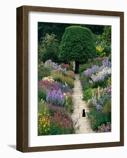 The Garden Cat-Greg Gawlowski-Framed Premium Photographic Print