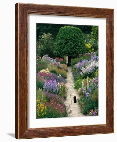 The Garden Cat-Greg Gawlowski-Framed Premium Photographic Print