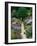 The Garden Cat-Greg Gawlowski-Framed Premium Photographic Print