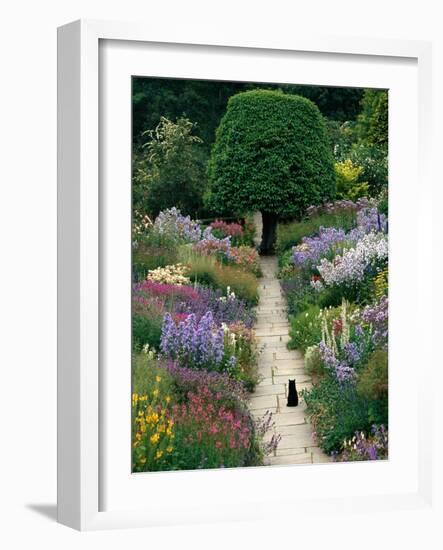 The Garden Cat-Greg Gawlowski-Framed Premium Photographic Print