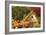 The Garden Cottage, 3D Computer Graphics-Atelier Sommerland-Framed Art Print