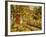 The Garden Cottage-Olaf Viggo Peter Langer-Framed Giclee Print