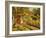 The Garden Cottage-Olaf Viggo Peter Langer-Framed Giclee Print