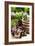 The Garden Nook I-Alan Hausenflock-Framed Photographic Print