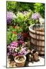 The Garden Nook I-Alan Hausenflock-Mounted Photographic Print