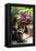 The Garden Nook III-Alan Hausenflock-Framed Premier Image Canvas