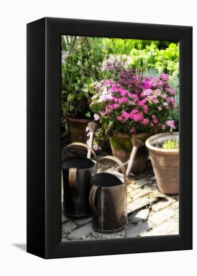 The Garden Nook III-Alan Hausenflock-Framed Premier Image Canvas