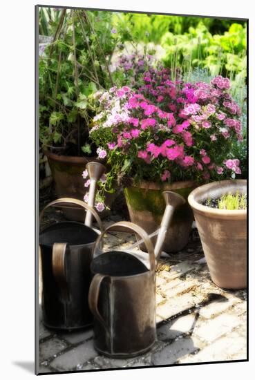 The Garden Nook III-Alan Hausenflock-Mounted Photographic Print