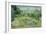 The Garden of Daubigny, 1890-Vincent van Gogh-Framed Giclee Print