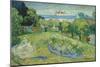 The Garden of Daubigny, 1890-Vincent van Gogh-Mounted Giclee Print