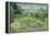 The Garden of Daubigny, 1890-Vincent van Gogh-Framed Premier Image Canvas