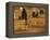 The Garden of Death-Hugo Simberg-Framed Premier Image Canvas