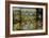 The Garden of Earthly Delights, 1490-1500-Hieronymus Bosch-Framed Giclee Print