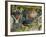 The Garden of Earthly Delights, 1490-1500-Hieronymus Bosch-Framed Giclee Print