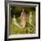 The Garden of Earthly Delights, 1490-1500-Hieronymus Bosch-Framed Giclee Print