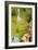 The Garden of Earthly Delights, c.1500-Hieronymus Bosch-Framed Giclee Print