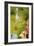 The Garden of Earthly Delights, c.1500-Hieronymus Bosch-Framed Giclee Print