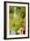 The Garden of Earthly Delights, c.1500-Hieronymus Bosch-Framed Giclee Print