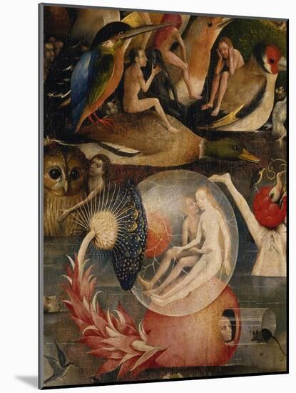 The Garden of Earthly Delights. (Detail of the Centre Panel)-Hieronymus Bosch-Mounted Giclee Print