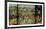 The Garden of Earthly Delights Triptych-Hieronymus Bosch-Framed Premium Giclee Print