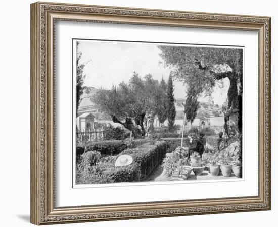 The Garden of Gethsemane, Palestine, Late 19th Century-John L Stoddard-Framed Giclee Print