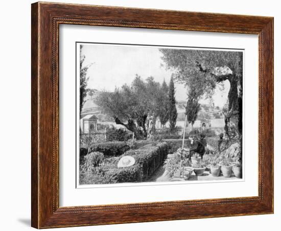 The Garden of Gethsemane, Palestine, Late 19th Century-John L Stoddard-Framed Giclee Print